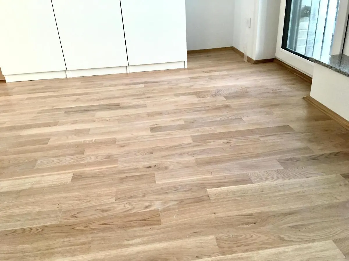 公寓 Leben Wie Zuhause In Nuernberg - Live In A38 德国